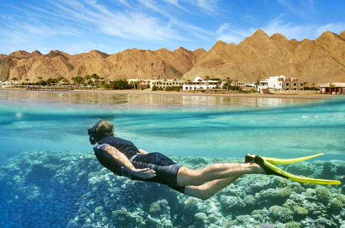 red-sea-snorkeling-day-trip-by-boat-from-hurghada-in-hurghada-401772